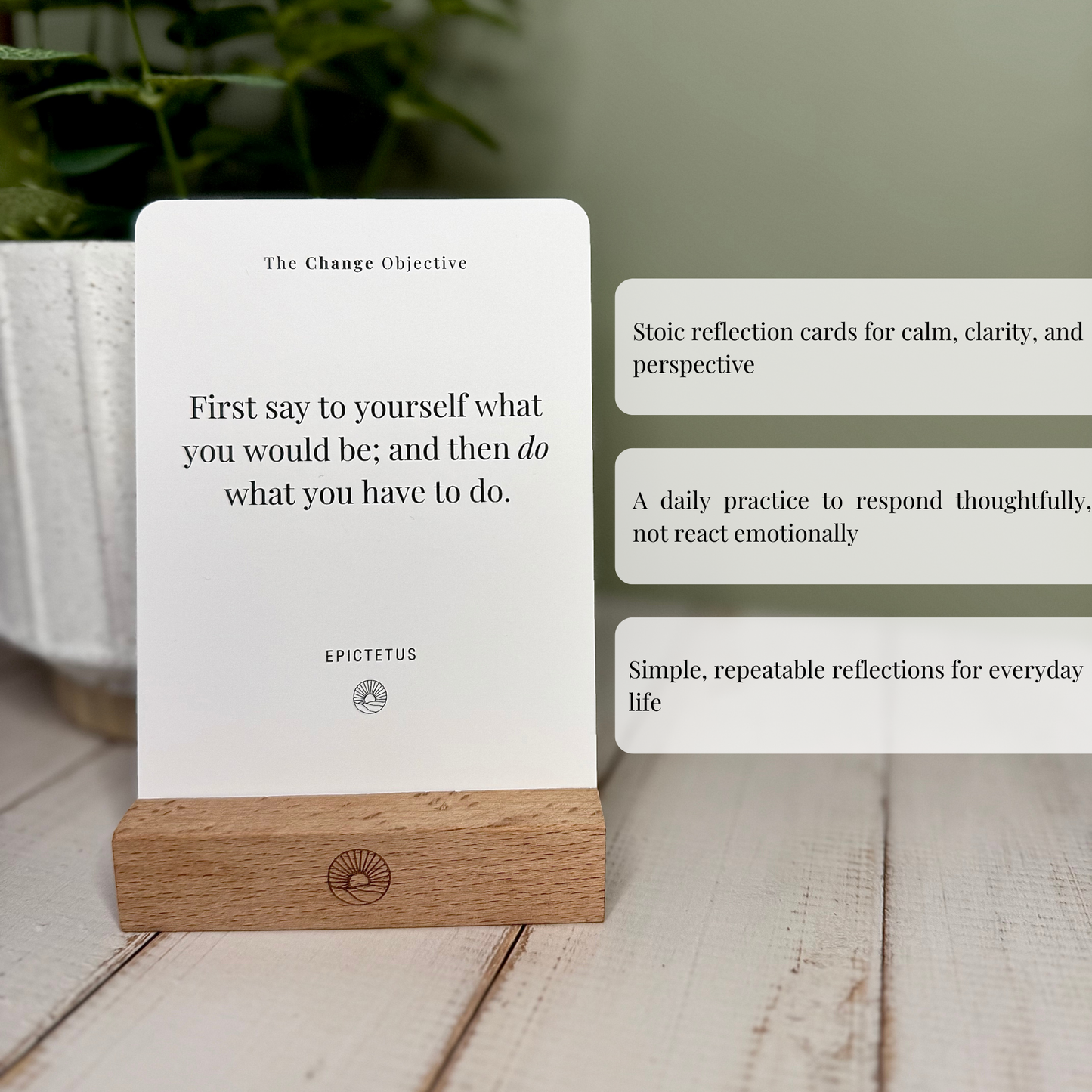 Stoic Reflection Display Cards